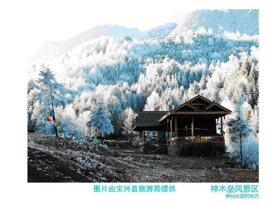 “神木壘冬韻．品味中國(guó)西部林海雪原體驗(yàn)游”活動(dòng)展開