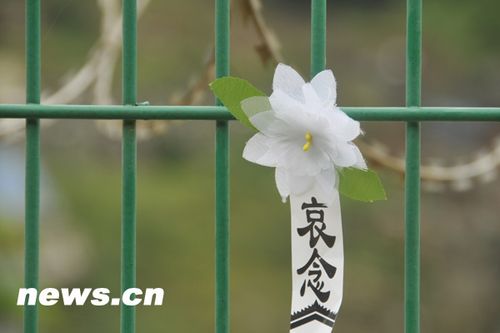 北川老縣城昨開(kāi)城 數(shù)萬(wàn)民眾祭奠遇難同胞(圖)
