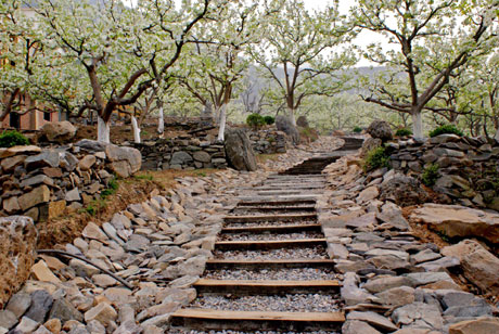 臺灣模式生態(tài)農(nóng)業(yè)產(chǎn)業(yè)基地落戶京郊