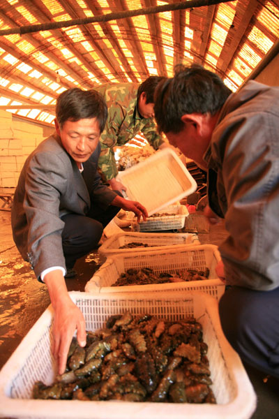 長島：藍(lán)色經(jīng)濟(jì)新戰(zhàn)略(圖)