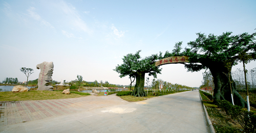 大力實施三民工程 贛榆羅陽打造幸福之鎮(zhèn)