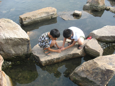 青島旅游之世紀(jì)公園