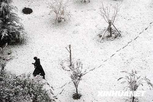 北京受降雪影響部分航班延誤 已啟動應急預案